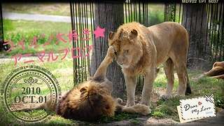なぜ保存したのか分からない画像を貼るトピ