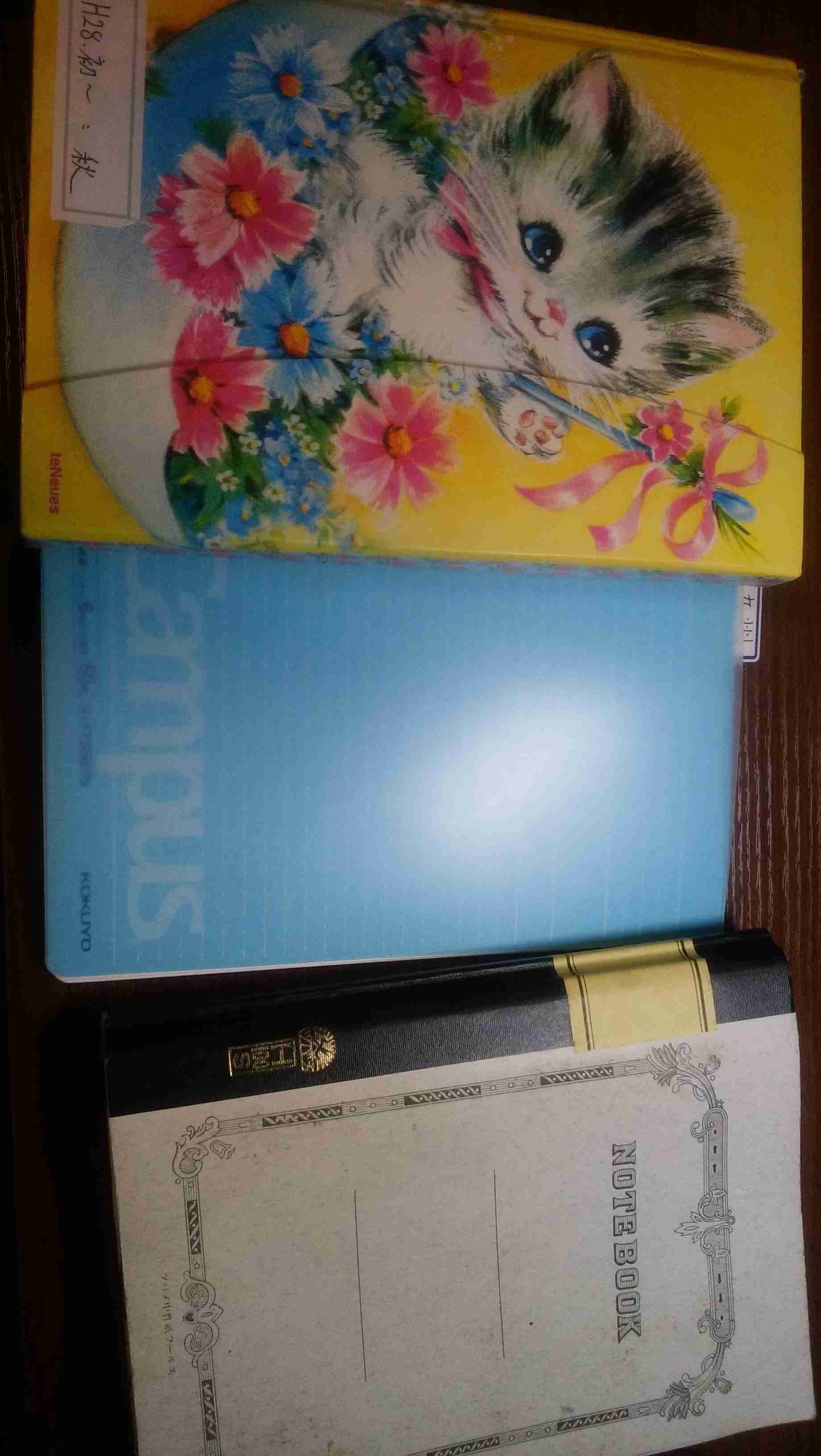 白鵬、節目の場所に向け立ち合いの悪癖改善へ