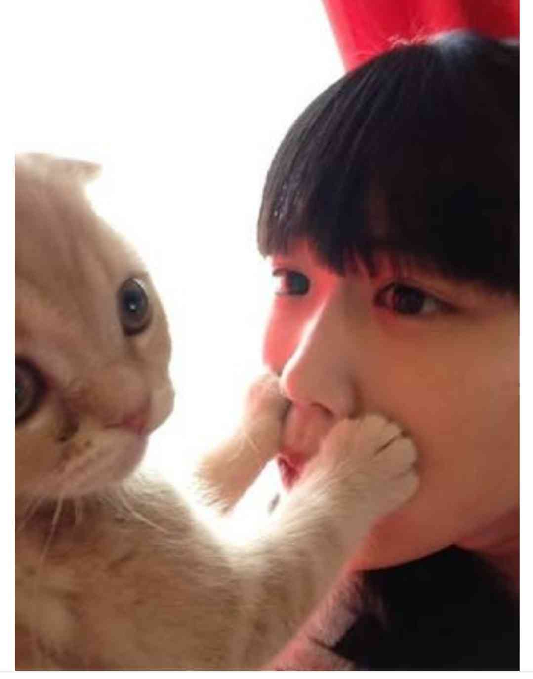 有安杏果「ももクロ」卒業を電撃発表「普通の女の子の生活を送りたい」