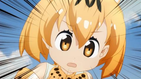 人間以外のアニメキャラ、一つ飼えるとしたら何にする？