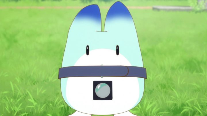 人間以外のアニメキャラ、一つ飼えるとしたら何にする？
