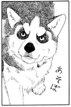 人間以外のアニメキャラ、一つ飼えるとしたら何にする？
