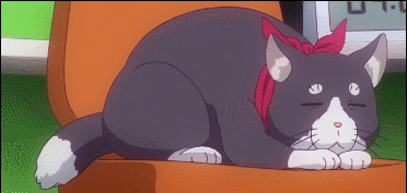 人間以外のアニメキャラ、一つ飼えるとしたら何にする？