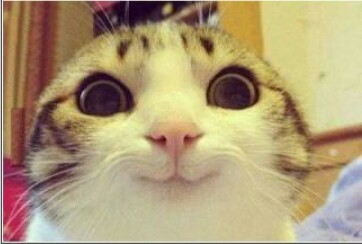 冷めた表情をした画像が集まるトピ