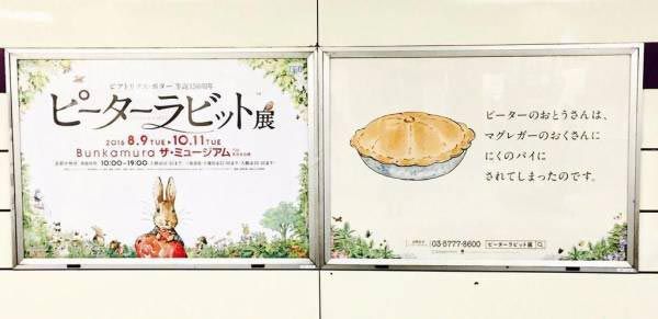 【閲覧注意】夢が壊れる画像をください