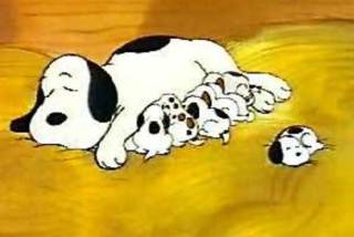 消すか残すか悩んでる画像や動画を投稿しよう