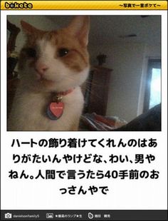 消すか残すか悩んでる画像や動画を投稿しよう