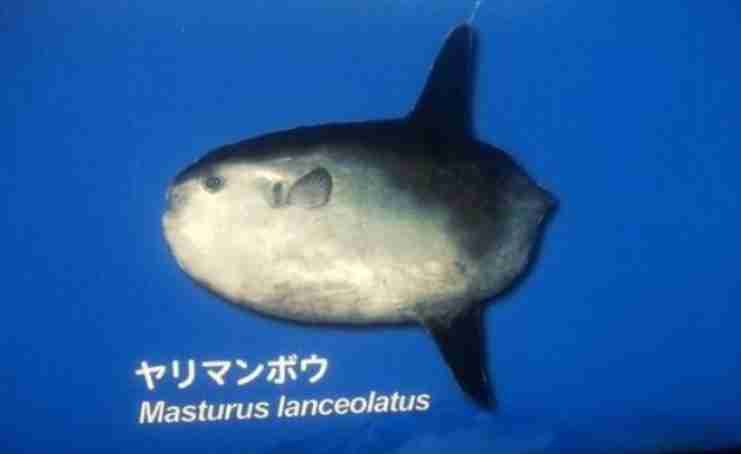 消すか残すか悩んでる画像や動画を投稿しよう