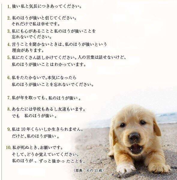消すか残すか悩んでる画像や動画を投稿しよう
