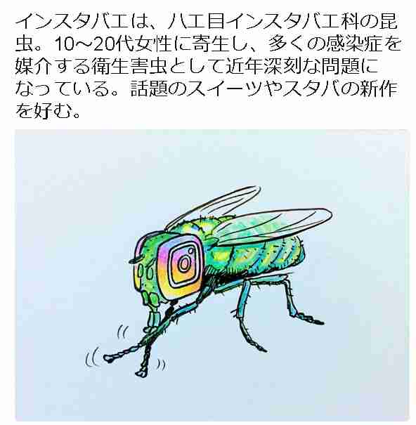 消すか残すか悩んでる画像や動画を投稿しよう