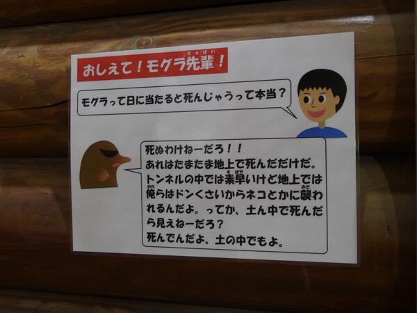 消すか残すか悩んでる画像や動画を投稿しよう