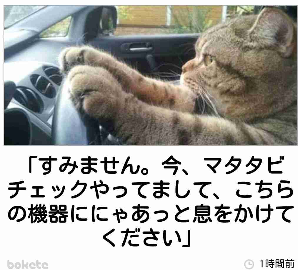 消すか残すか悩んでる画像や動画を投稿しよう