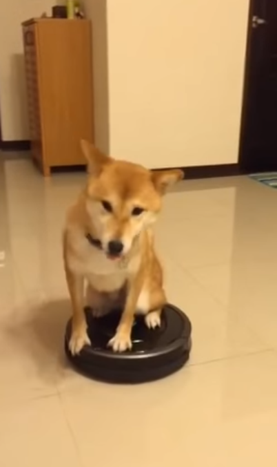 消すか残すか悩んでる画像や動画を投稿しよう