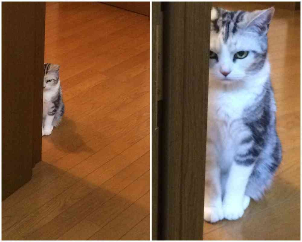 消すか残すか悩んでる画像や動画を投稿しよう