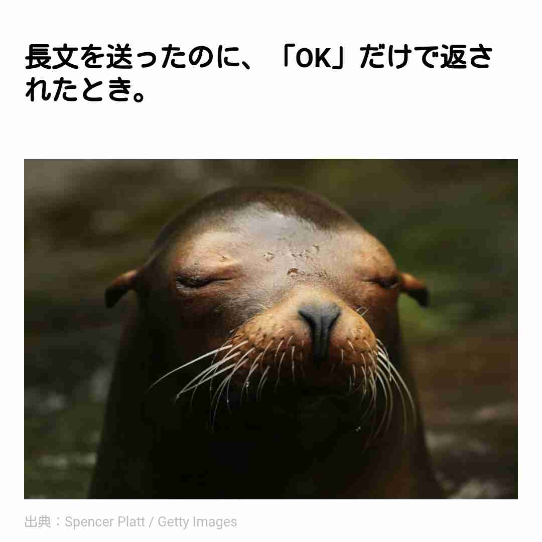 消すか残すか悩んでる画像や動画を投稿しよう