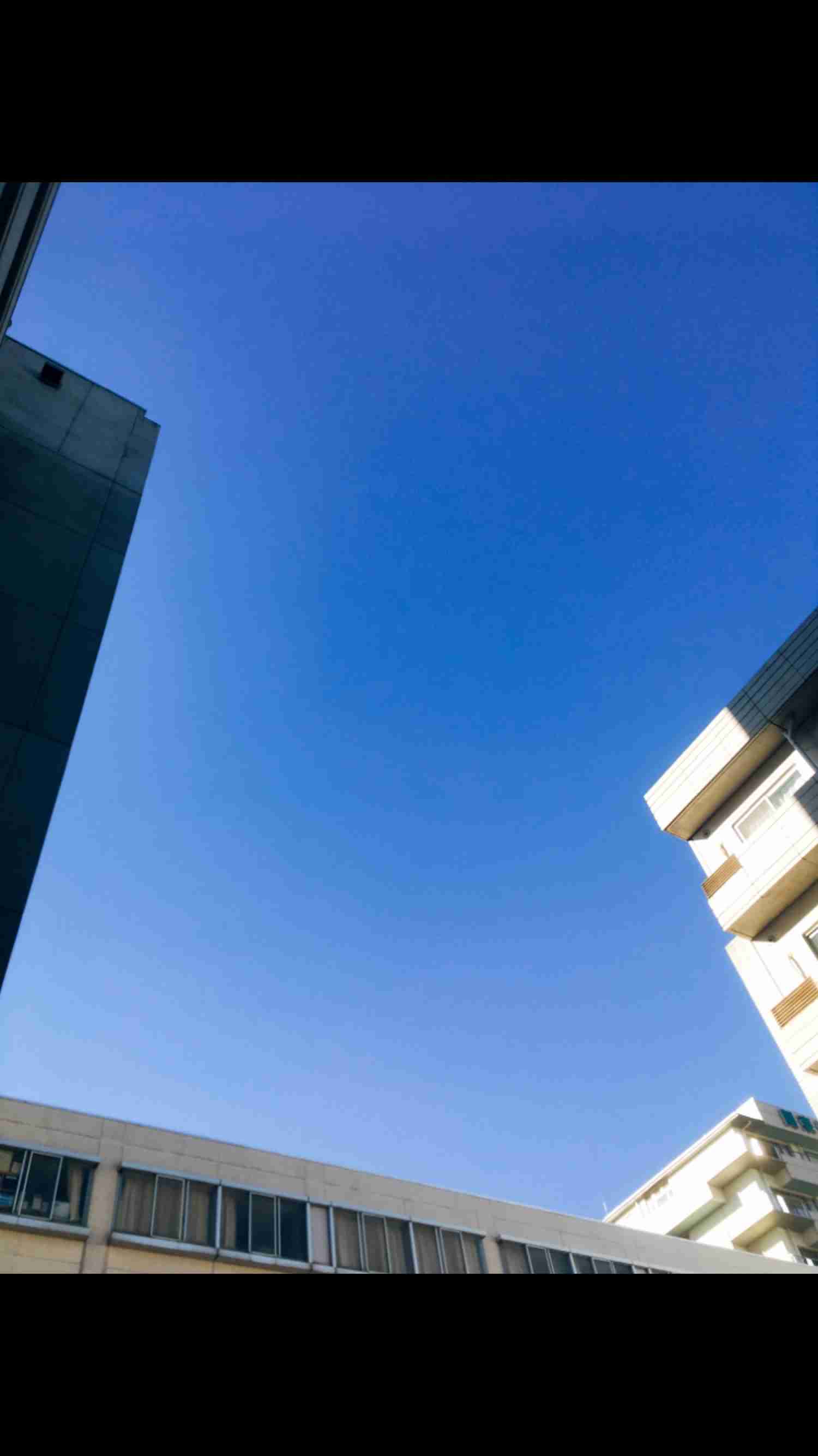 今日の天気、ご予定は？