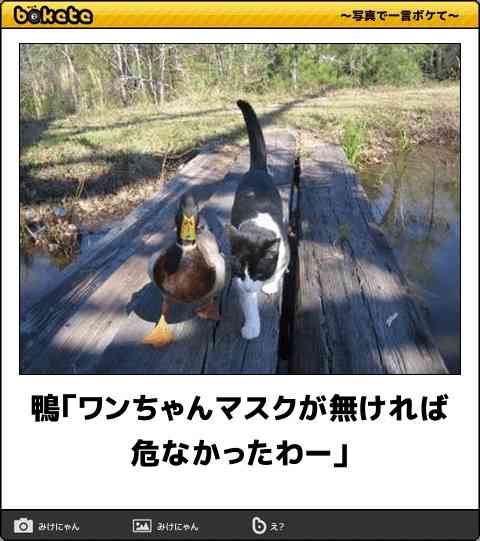 そーいう意味だったんだ！トピ