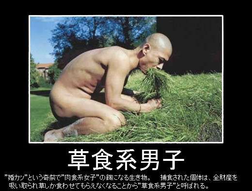 草食系男子をその気にさせる方法