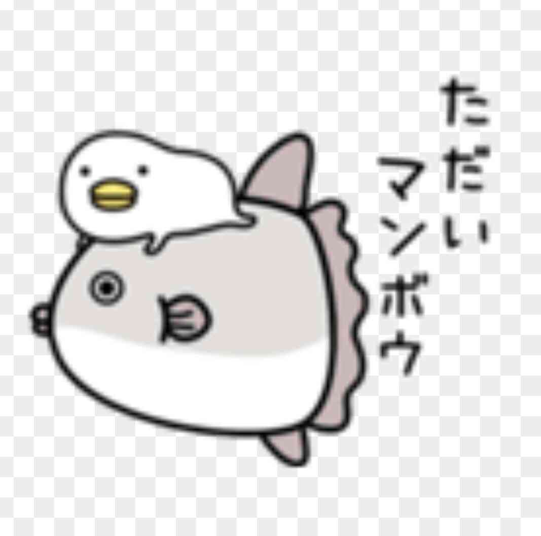 うるせぇトリ好きな人