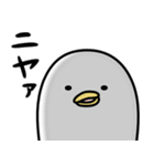 うるせぇトリ好きな人