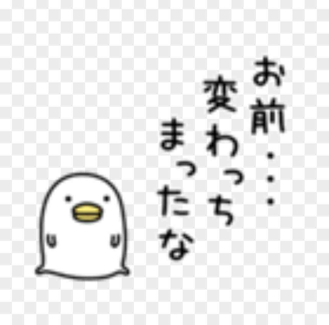 うるせぇトリ好きな人