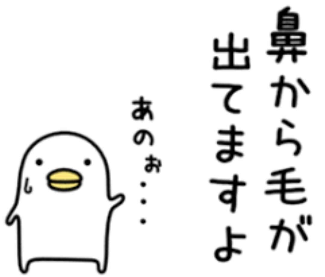 うるせぇトリ好きな人