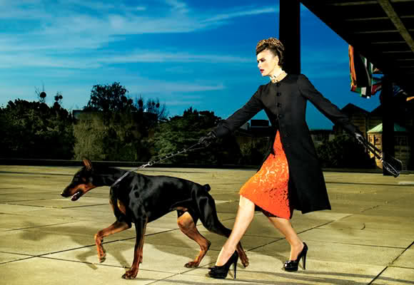 カッコいいモデルの画像