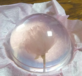 美しい和菓子の画像