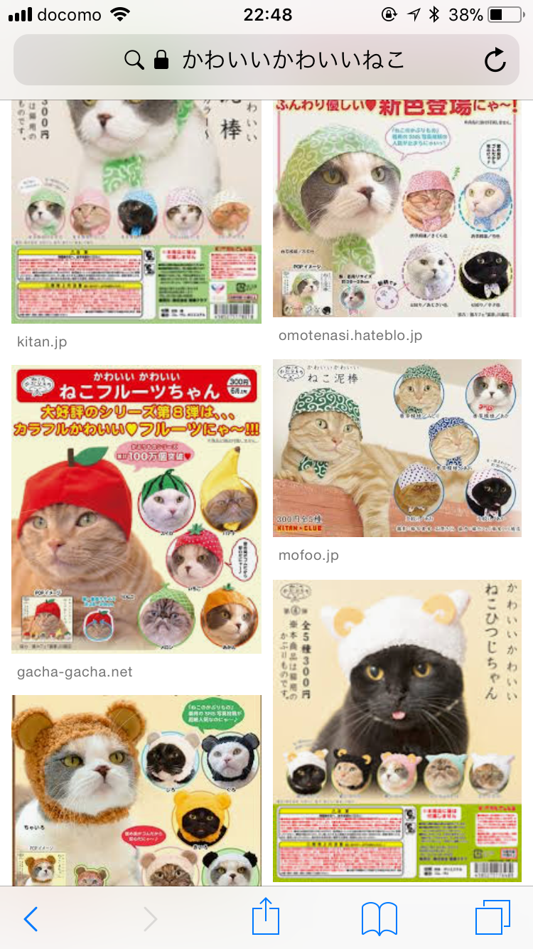 (身バレしない程度に)お宅の猫ちゃん見せてください!