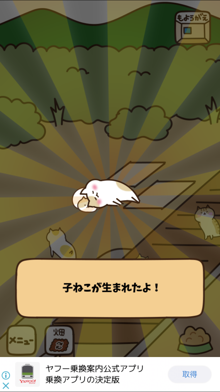 (身バレしない程度に)お宅の猫ちゃん見せてください!