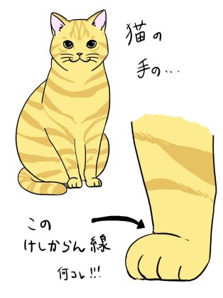 (身バレしない程度に)お宅の猫ちゃん見せてください!