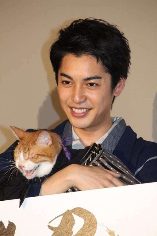 【画像】いろんな毛色の猫が見たい