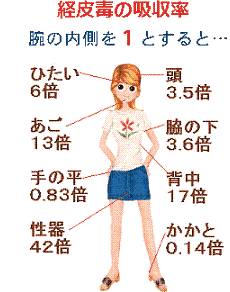 未だに信じてる人居るの？と言う嘘や噂