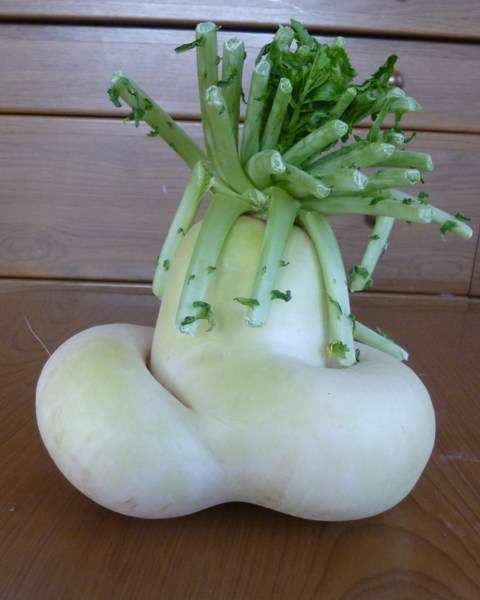 好きなキャラのツーショット画像を貼ろう♪