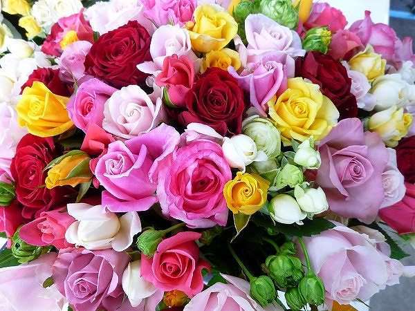 好きなキャラのツーショット画像を貼ろう♪