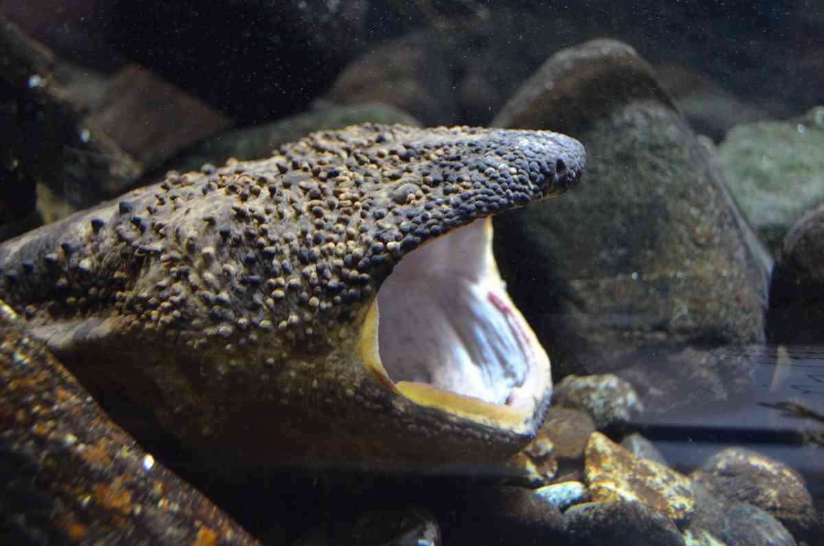 好きなキャラのツーショット画像を貼ろう♪