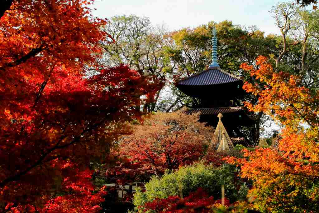 好きなキャラのツーショット画像を貼ろう♪