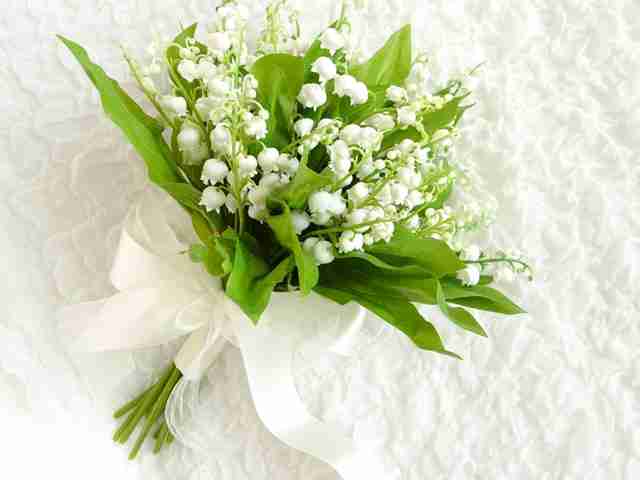 好きなキャラのツーショット画像を貼ろう♪