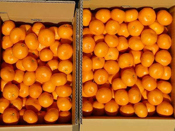 好きなキャラのツーショット画像を貼ろう♪