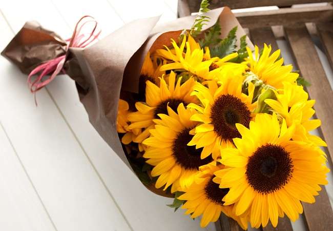 好きなキャラのツーショット画像を貼ろう♪