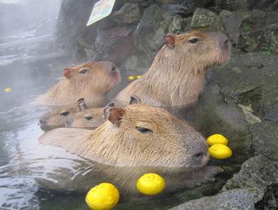 好きなキャラのツーショット画像を貼ろう♪