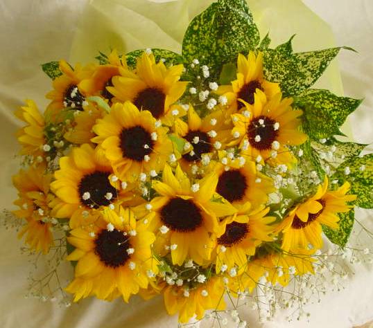 好きなキャラのツーショット画像を貼ろう♪