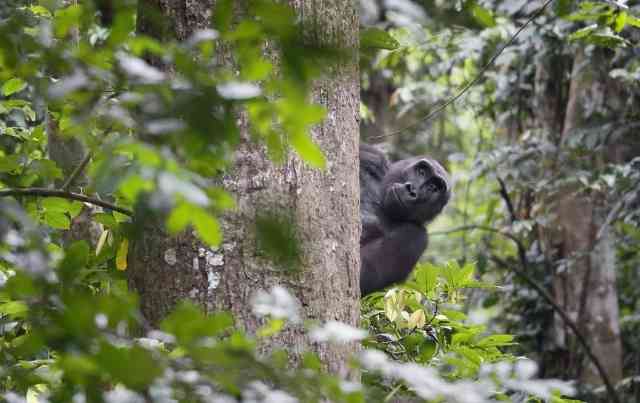 好きなキャラのツーショット画像を貼ろう♪