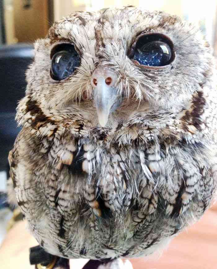 青い画像の集まるトピ!