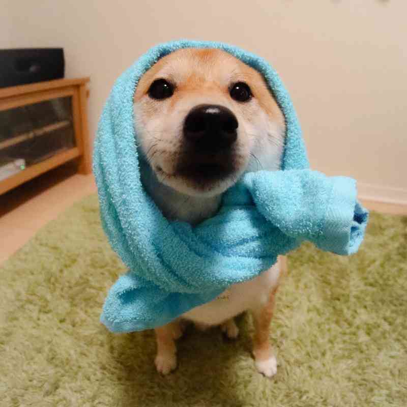 青い画像の集まるトピ!