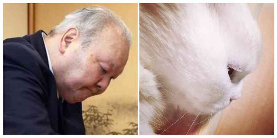 動物達の横顔が集まるトピ