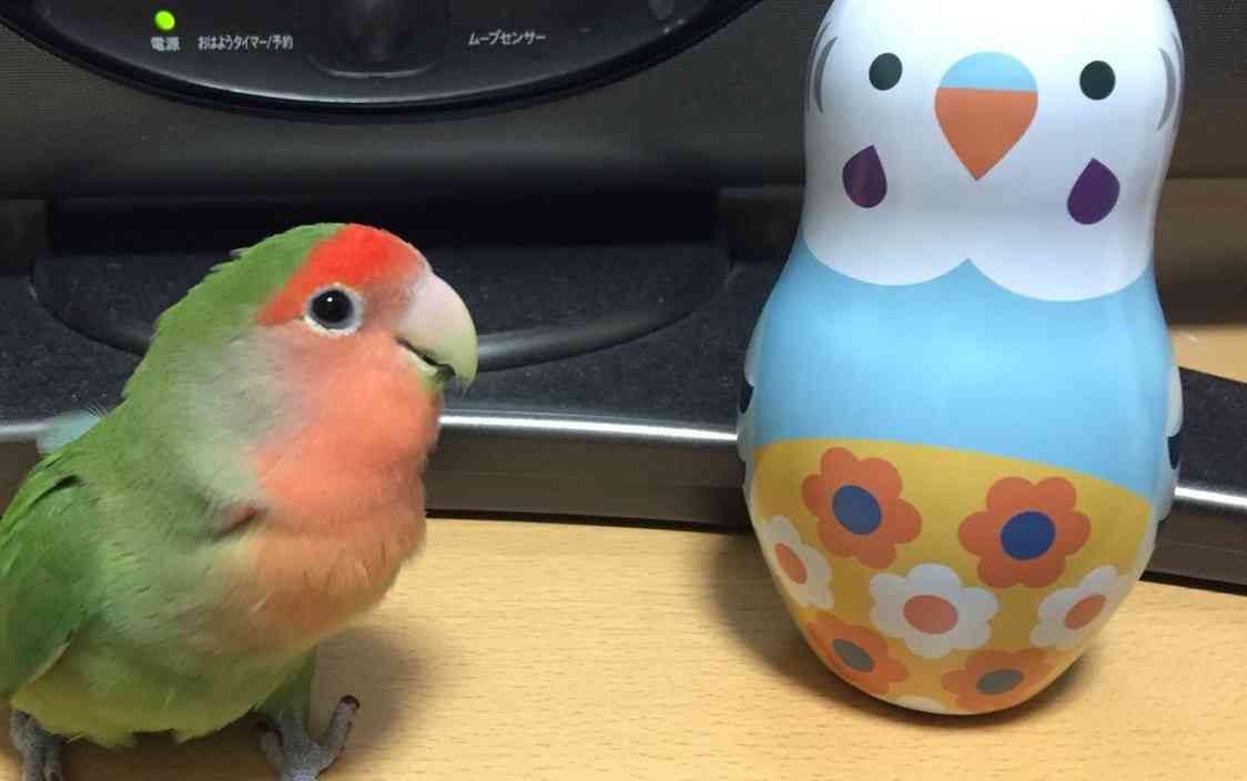 動物達の横顔が集まるトピ