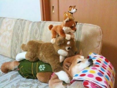 動物達の横顔が集まるトピ