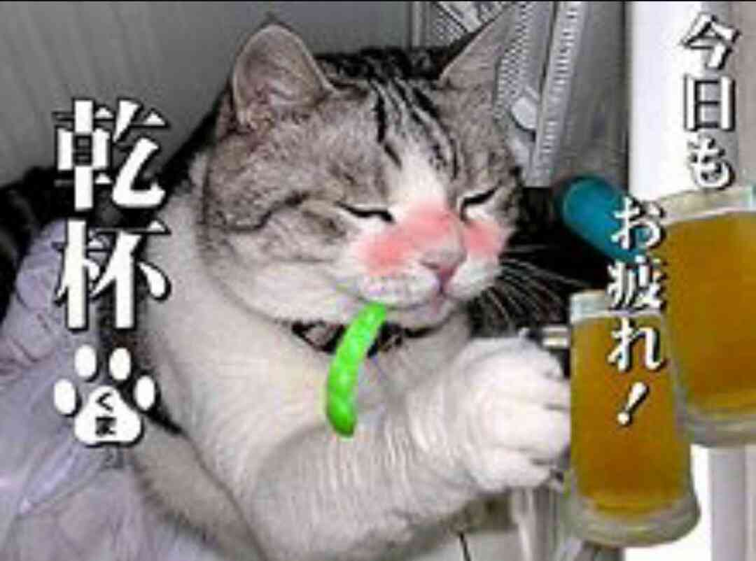 今、食しているものを答えよ!
