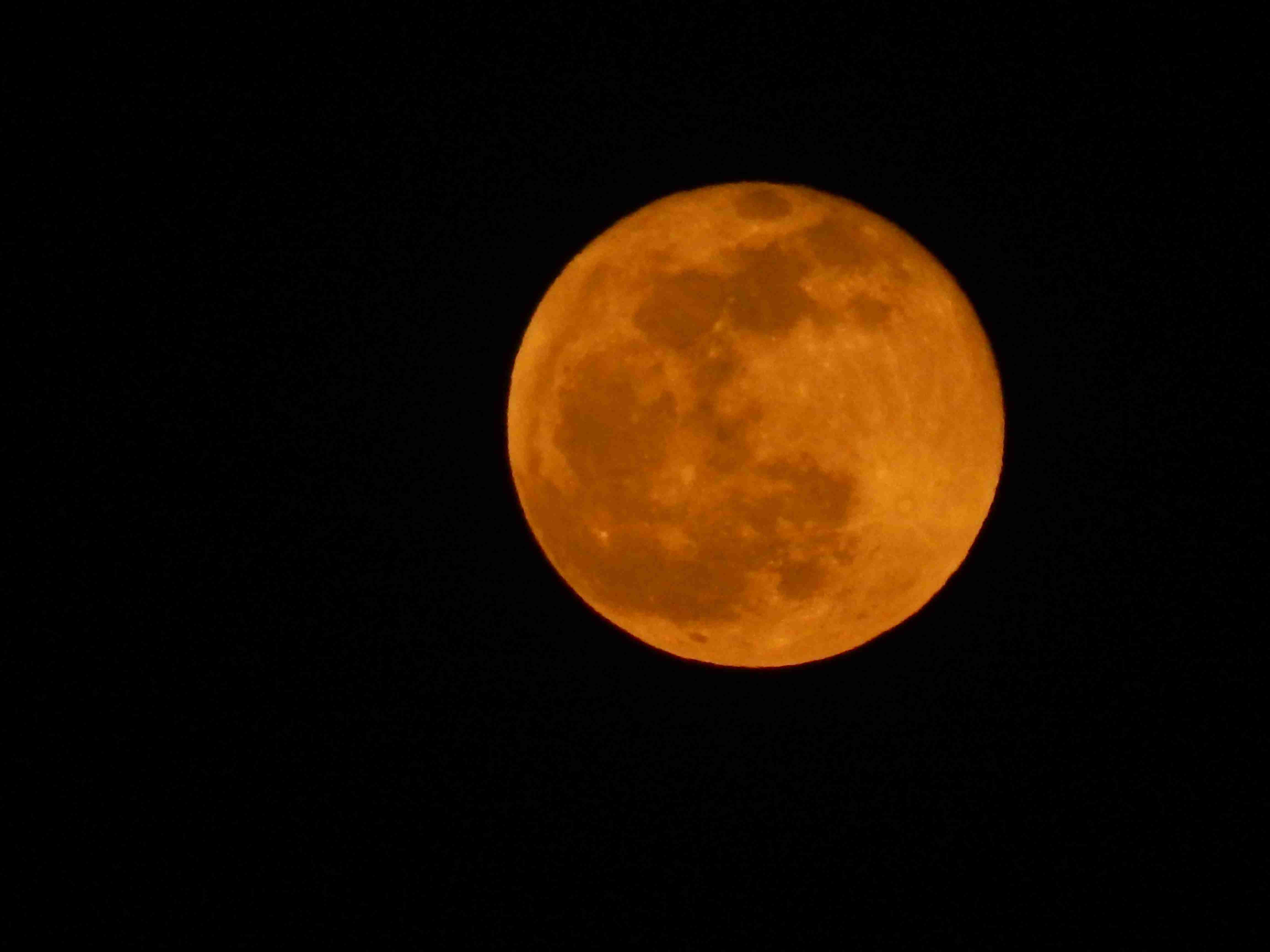 【妄想】アニメキャラ達の忘年会・新年会【雑談】